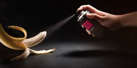 Blowjob without Condom Erotic massage Wolvertem